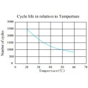 BSL Batt 25.6 V 100 Ah LIFePO4 Lithium Ion Deep Cycle Battery