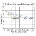 BSL Batt 25.6 V 100 Ah LIFePO4 Lithium Ion Deep Cycle Battery